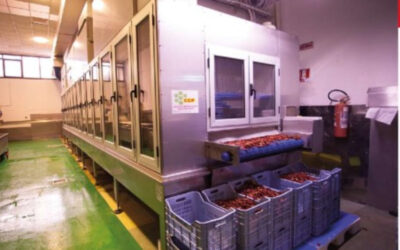Continuous Dryer
