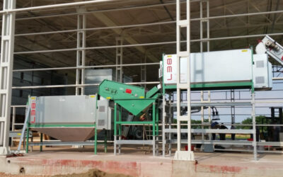 Walnut Processing Line